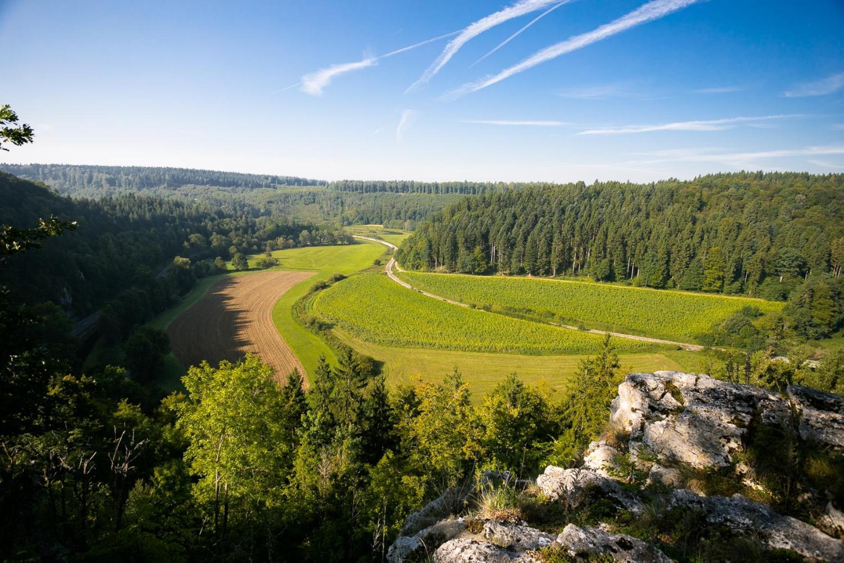Haus Wiesengrund - Hundefreundlich Гаммертинген Экстерьер фото